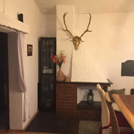 Bussard * Gammelsbach